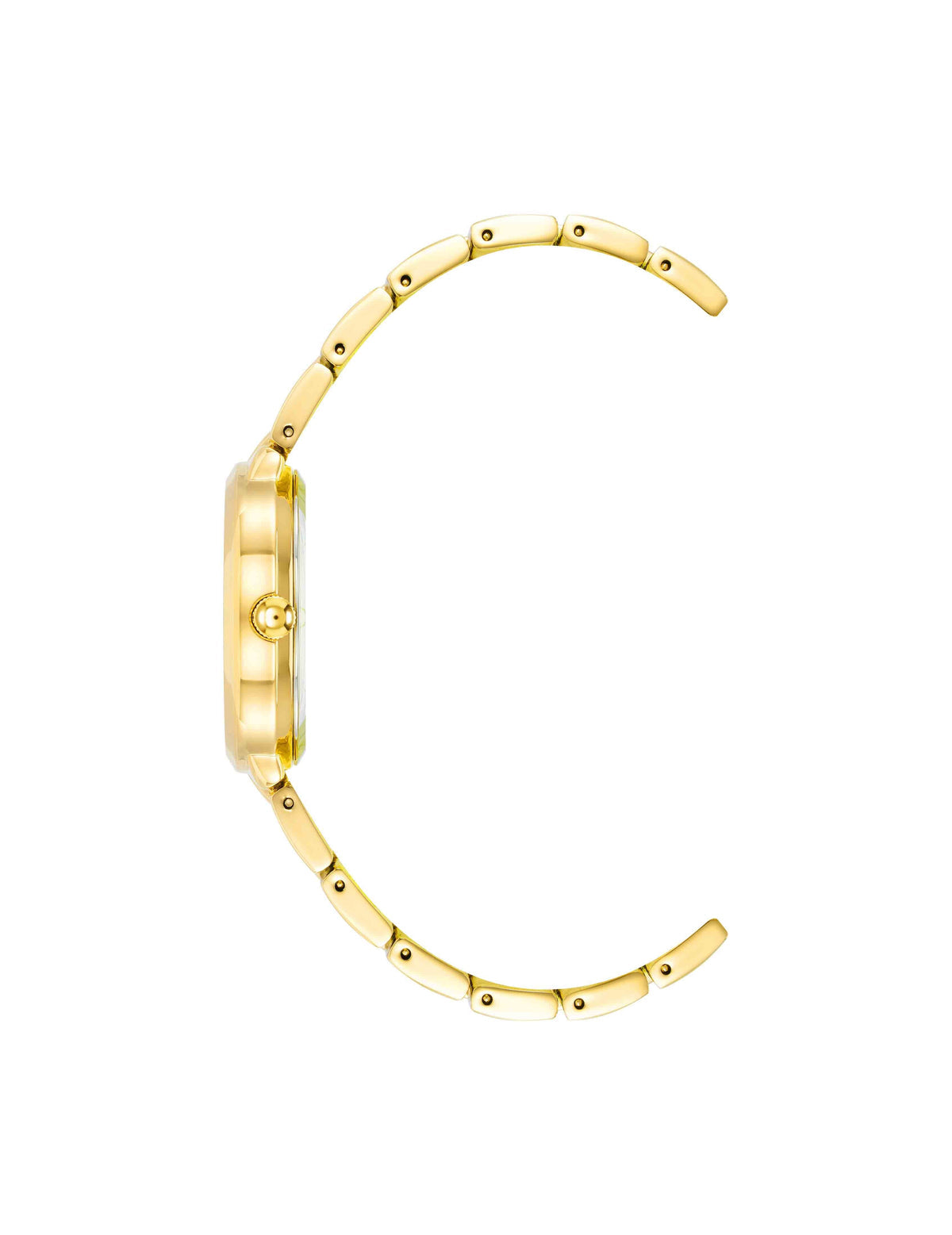 Minimalist Oval Case Watch